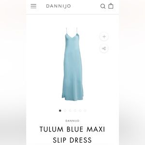 Dannijo Tulum Blue Maxi Slip Dress size medium